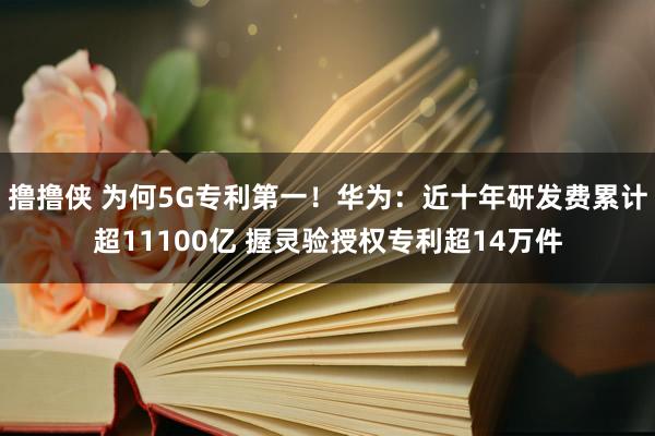 撸撸侠 为何5G专利第一！华为：近十年研发费累计超11100亿 握灵验授权专利超14万件