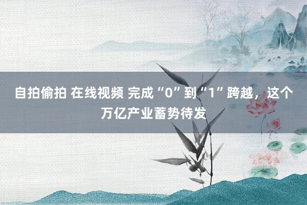 自拍偷拍 在线视频 完成“0”到“1”跨越，这个万亿产业蓄势待发