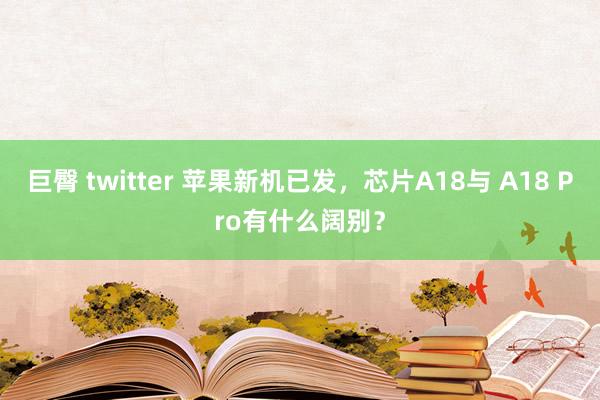 巨臀 twitter 苹果新机已发，芯片A18与 A18 Pro有什么阔别？