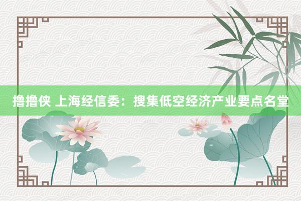 撸撸侠 上海经信委：搜集低空经济产业要点名堂