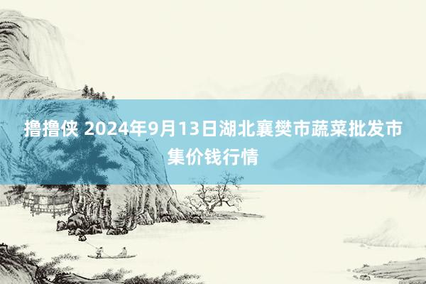 撸撸侠 2024年9月13日湖北襄樊市蔬菜批发市集价钱行情