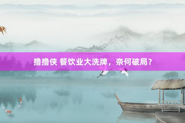 撸撸侠 餐饮业大洗牌，奈何破局？