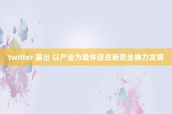 twitter 露出 以产业为载体促进新质坐褥力发展