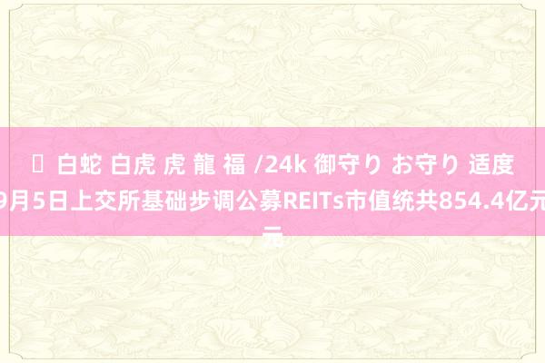 ✨白蛇 白虎 虎 龍 福 /24k 御守り お守り 适度9月5日上交所基础步调公募REITs市值统共854.4亿元