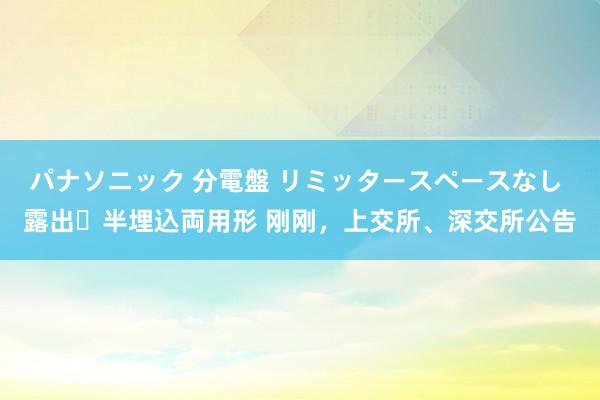 パナソニック 分電盤 リミッタースペースなし 露出・半埋込両用形 刚刚，上交所、深交所公告