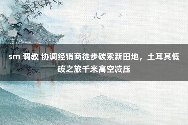 sm 调教 协调经销商徒步碳索新田地，土耳其低碳之旅千米高空减压