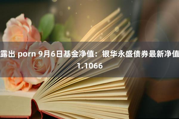 露出 porn 9月6日基金净值：银华永盛债券最新净值1.1066