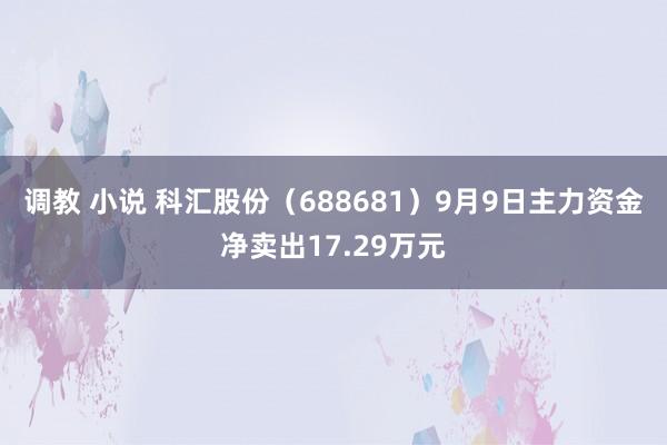 调教 小说 科汇股份（688681）9月9日主力资金净卖出17.29万元