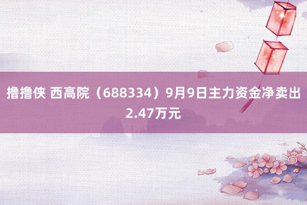 撸撸侠 西高院（688334）9月9日主力资金净卖出2.47万元