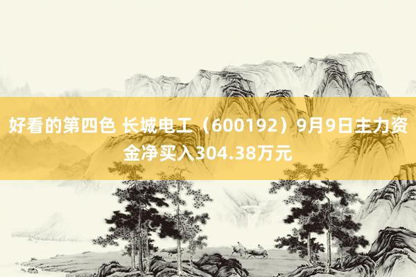 好看的第四色 长城电工（600192）9月9日主力资金净买入304.38万元