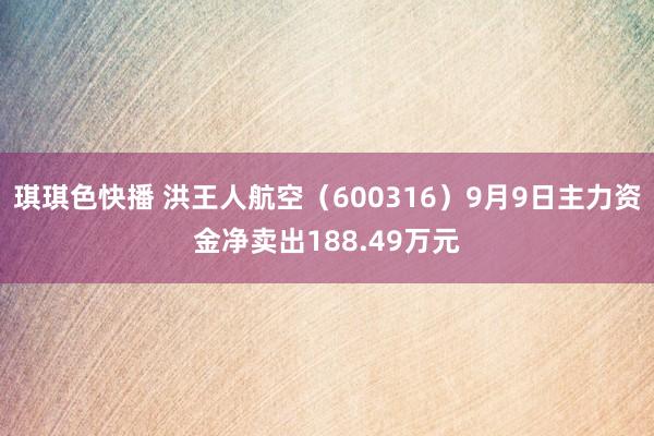 琪琪色快播 洪王人航空（600316）9月9日主力资金净卖出188.49万元