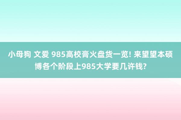 小母狗 文爱 985高校膏火盘货一览! 来望望本硕博各个阶段上985大学要几许钱?
