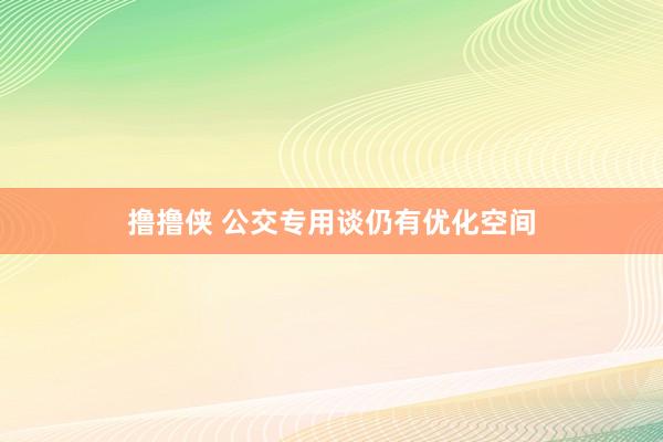 撸撸侠 公交专用谈仍有优化空间