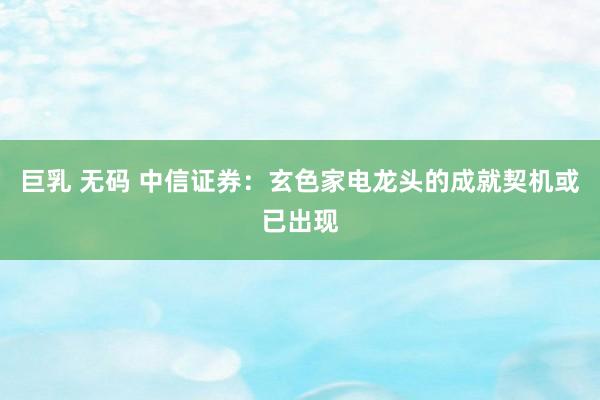 巨乳 无码 中信证券：玄色家电龙头的成就契机或已出现