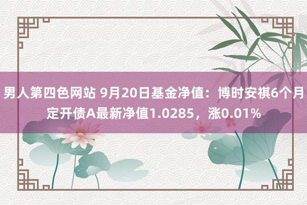 男人第四色网站 9月20日基金净值：博时安祺6个月定开债A最新净值1.0285，涨0.01%