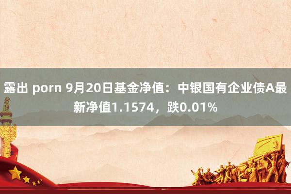 露出 porn 9月20日基金净值：中银国有企业债A最新净值1.1574，跌0.01%