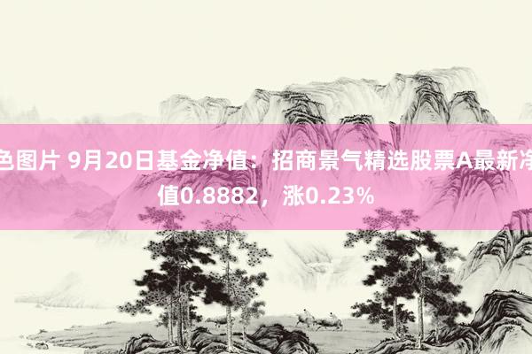 色图片 9月20日基金净值：招商景气精选股票A最新净值0.8882，涨0.23%