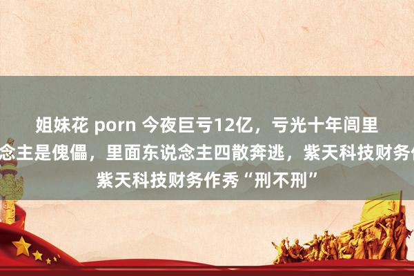 姐妹花 porn 今夜巨亏12亿，亏光十年闾里底！实控东说念主是傀儡，里面东说念主四散奔逃，紫天科技财务作秀“刑不刑”