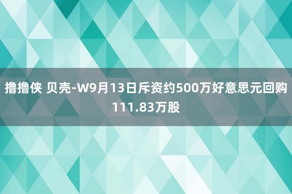 撸撸侠 贝壳-W9月13日斥资约500万好意思元回购111.83万股