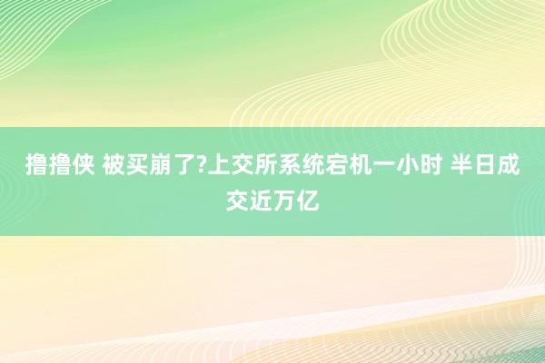 撸撸侠 被买崩了?上交所系统宕机一小时 半日成交近万亿