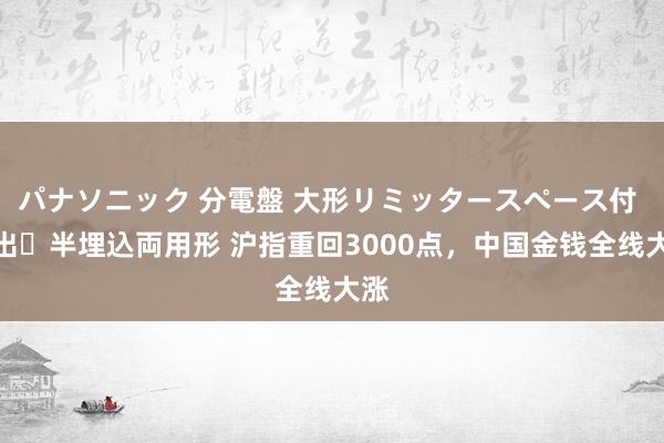 パナソニック 分電盤 大形リミッタースペース付 露出・半埋込両用形 沪指重回3000点，中国金钱全线大涨