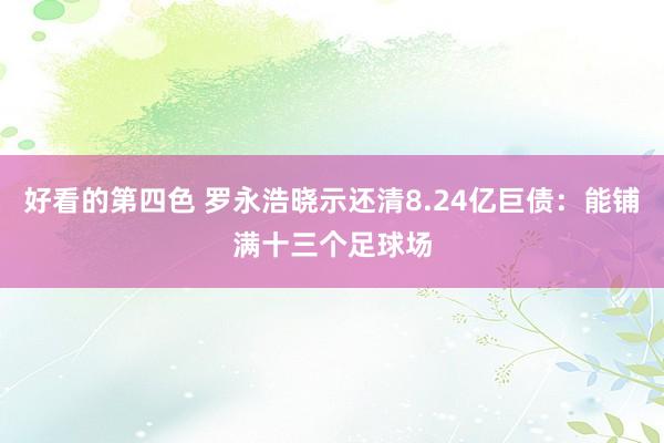 好看的第四色 罗永浩晓示还清8.24亿巨债：能铺满十三个足球场