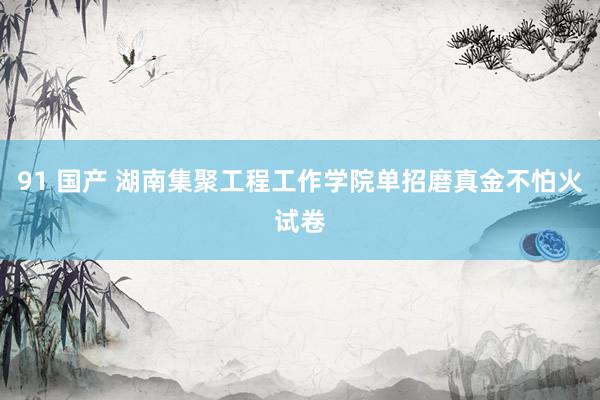 91 国产 湖南集聚工程工作学院单招磨真金不怕火试卷