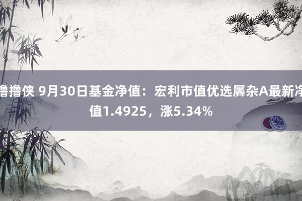 撸撸侠 9月30日基金净值：宏利市值优选羼杂A最新净值1.4925，涨5.34%