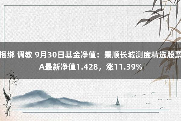 捆绑 调教 9月30日基金净值：景顺长城测度精选股票A最新净值1.428，涨11.39%