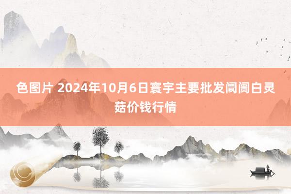 色图片 2024年10月6日寰宇主要批发阛阓白灵菇价钱行情
