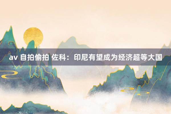 av 自拍偷拍 佐科：印尼有望成为经济超等大国