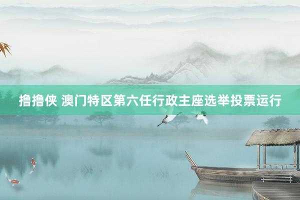 撸撸侠 澳门特区第六任行政主座选举投票运行