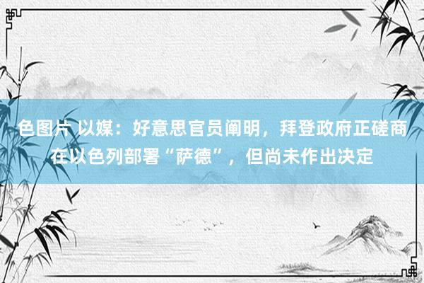 色图片 以媒：好意思官员阐明，拜登政府正磋商在以色列部署“萨德”，但尚未作出决定