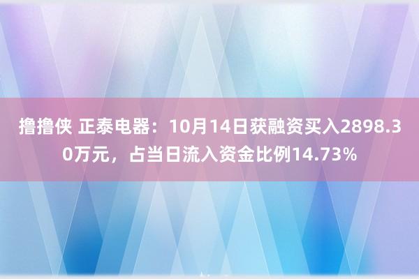 撸撸侠 正泰电器：10月14日获融资买入2898.30万元，占当日流入资金比例14.73%