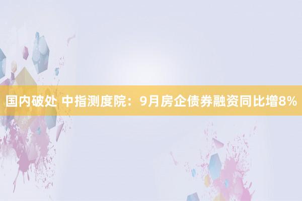 国内破处 中指测度院：9月房企债券融资同比增8%