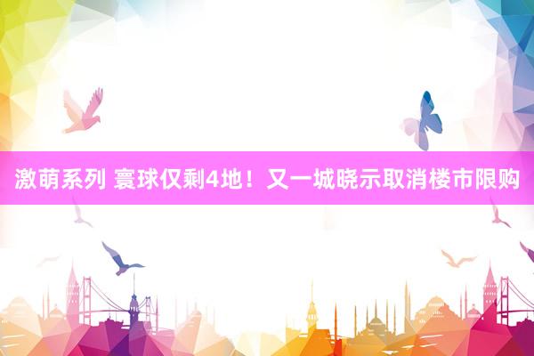 激萌系列 寰球仅剩4地！又一城晓示取消楼市限购