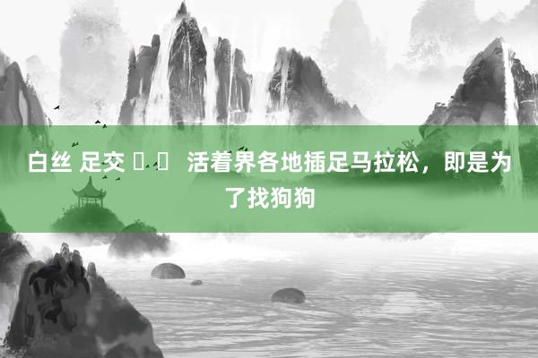 白丝 足交 ◉◉ 活着界各地插足马拉松，即是为了找狗狗