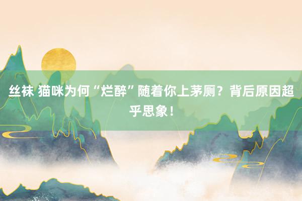 丝袜 猫咪为何“烂醉”随着你上茅厕？背后原因超乎思象！