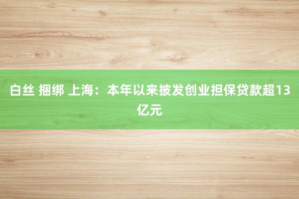 白丝 捆绑 上海：本年以来披发创业担保贷款超13亿元