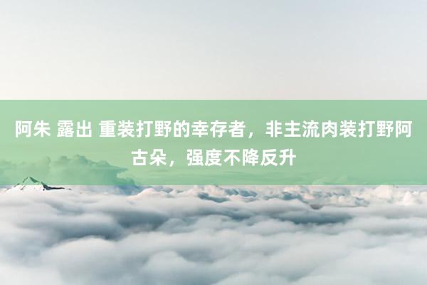 阿朱 露出 重装打野的幸存者，非主流肉装打野阿古朵，强度不降反升