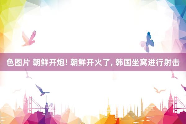 色图片 朝鲜开炮! 朝鲜开火了， 韩国坐窝进行射击