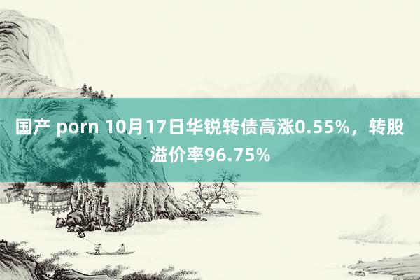 国产 porn 10月17日华锐转债高涨0.55%，转股溢价率96.75%