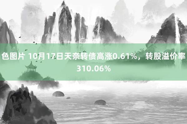 色图片 10月17日天奈转债高涨0.61%，转股溢价率310.06%