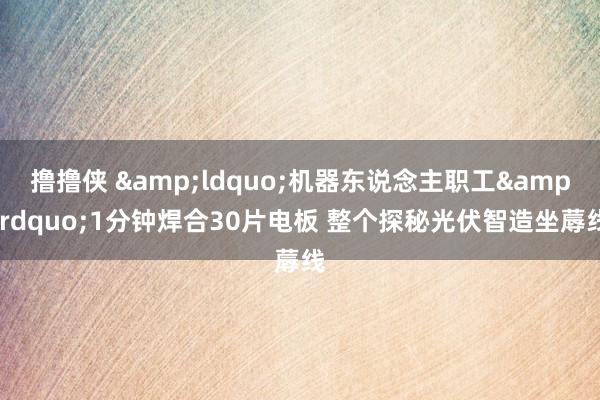 撸撸侠 &ldquo;机器东说念主职工&rdquo;1分钟焊合30片电板 整个探秘光伏智造坐蓐线