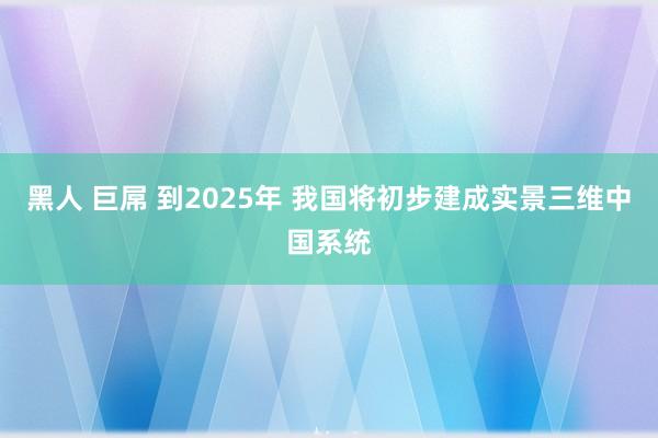 黑人 巨屌 到2025年 我国将初步建成实景三维中国系统