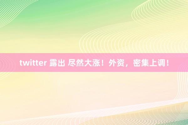 twitter 露出 尽然大涨！外资，密集上调！