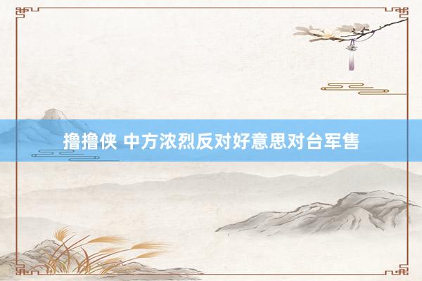 撸撸侠 中方浓烈反对好意思对台军售