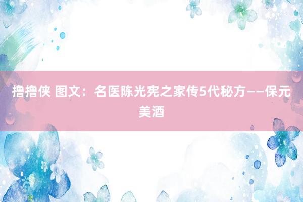 撸撸侠 图文：名医陈光宪之家传5代秘方——保元美酒