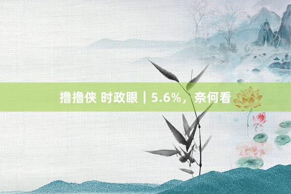 撸撸侠 时政眼｜5.6%，奈何看