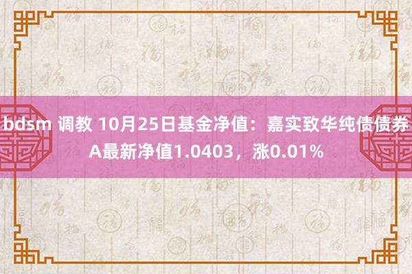bdsm 调教 10月25日基金净值：嘉实致华纯债债券A最新净值1.0403，涨0.01%